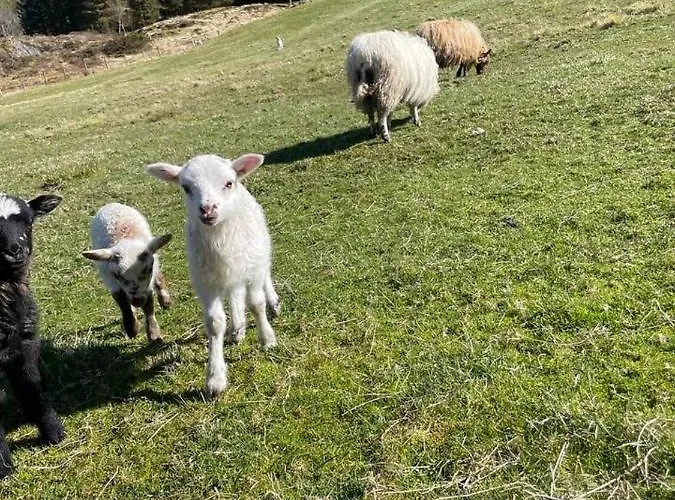 Leitane 2 Vakantiehuis *