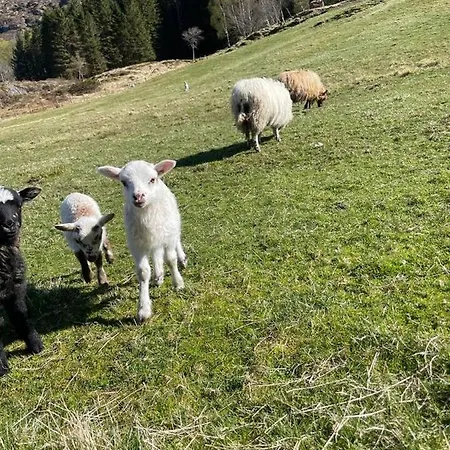 Leitane 2 Vakantiehuis *